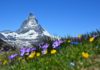 matterhorn